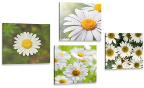 Set tablouri flori magice