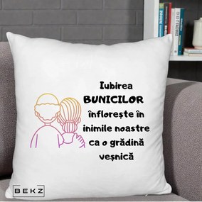 Cadou pentru Bunici - Perna Personalizata Iubirea Bunicilor Infloreste Cuplu Line Art Gradient, 40x40 cm, Alb Pufos, Husa Detasabila, Perna Inclusa, BEKZ®