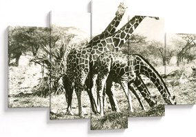 Tablou - Girafe, de epocă (150x105 cm)