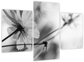 Tablou - Flori alb-negru (90x60 cm)