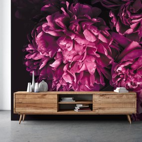 Fototapet - Flori (147x102 cm)