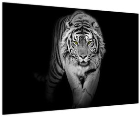 Tablou - Tigru cu ochi galbeni (90x60 cm)