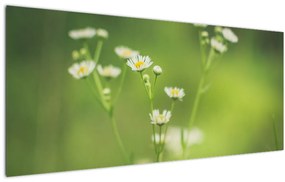 Tablou - Margarete (120x50 cm)