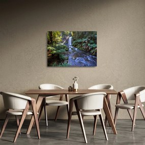 Tablou pe sticlă cu pădurea ploilor din Austalia (70x50 cm)