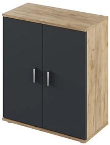 Dulap ADELI tip 1, stejar Artisan