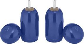 Set solniță și piperniță Moli – Blomus