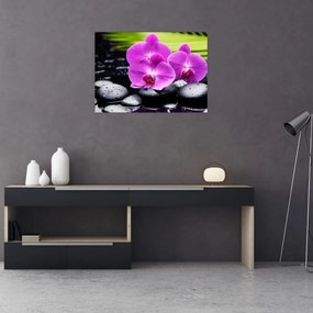 Tablou pe sticlă - Orhidee (70x50 cm)