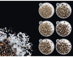 Cole&Mason DERWENT set 2 râșnițe sare și piper, 19 cm, antracit