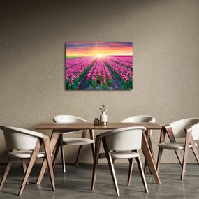 Tablou cu câmp de lalele cu soare (70x50 cm)