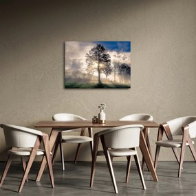 Tablou cu copac în ceață (70x50 cm)