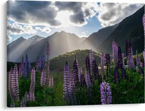 Tablou - scenariu cu flori de Lupin (70x50 cm)