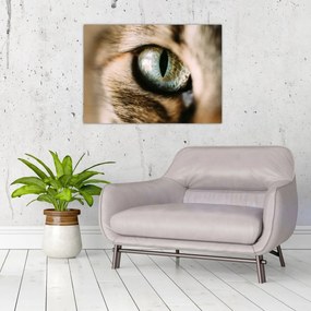 Tablou - Ochi de pisică (70x50 cm)