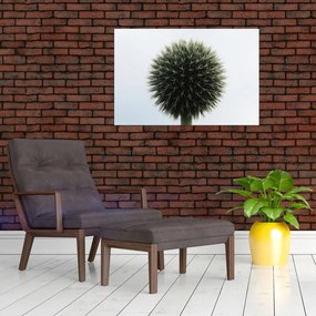 Tablou - Sfere de flori (90x60 cm)