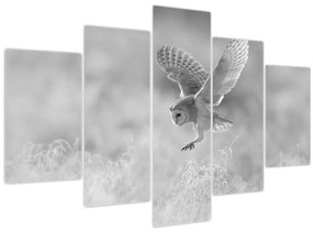 Tablou - Bufniță,alb-negru (150x105 cm)