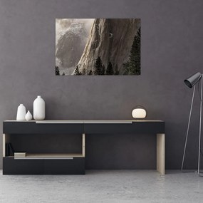 Tablou din valea Yosemite parcul național, SUA (90x60 cm)