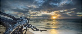 Tablou cu marea în apus de soare (120x50 cm)