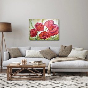 Tablou - Mac - flori (70x50 cm)