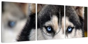 Tablou cu câinele husky (cu ceas) (90x30 cm)