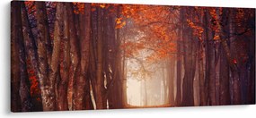 Tablou - Pădurea de toamnă (120x50 cm)