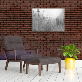 Tablou - Lavanda (70x50 cm)