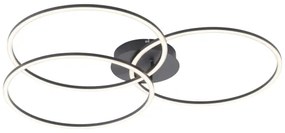 Plafonieră LED dimabilă IVANKA 3xLED/12W/230V Leuchten Direkt 14539-18