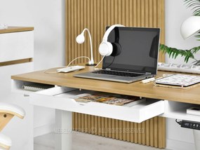 Masă PC Osto 120 (stejar alb + alb). 1109813