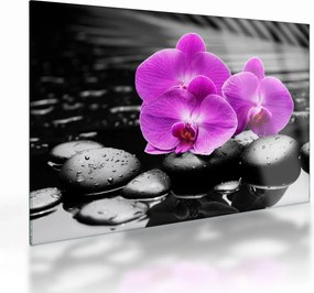 Tablou pe sticlă - Orhidee violet (70x50 cm)