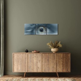 Tablou - Privirea ochiului (cu ceas) (90x30 cm)