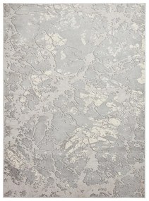 Covor gri deschis/crem 200x290 cm Apollo – Think Rugs