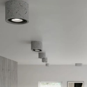 Plafonieră BASICv AR111 1xGU10/40W/230V beton