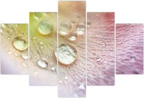 Tablou - Picături (150x105 cm)