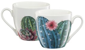 Cana mare 510ml, model cactus, Cactus