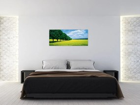 Tablou - Câmp cu alei (120x50 cm)