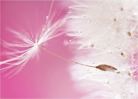 Tablou - Floare macro (70x50 cm)