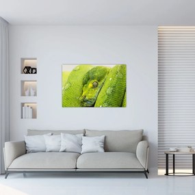 Tablou cu șarpe (90x60 cm)