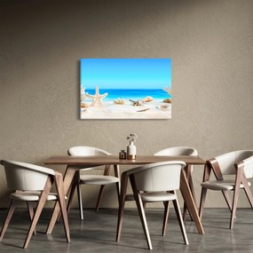 Tablou - Natura morta cu scoici (90x60 cm)