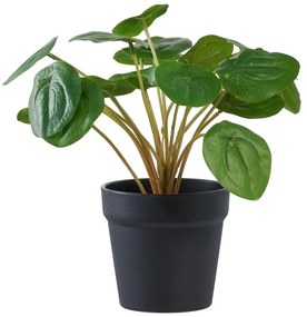 Plantă artificială (înălțime 28 cm) Pelia – House Nordic