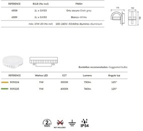 Aplica de perete orientabila iluminat exterior IP54 IGUAZU gri