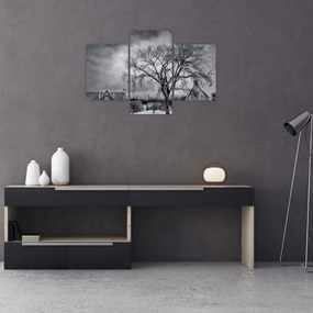 Tablou cu sat alb negru (90x60 cm)