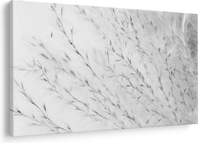 Tablou - Iarbă de pampas N⁰2 (90x60 cm)