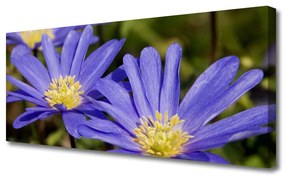 Tablou pe panza canvas Flori Floral violet