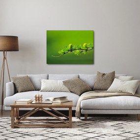 Tablou con verde (70x50 cm)