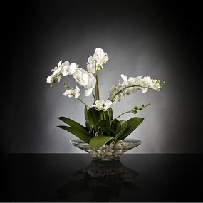 Aranjament floral elegant PLATE PHALENO 1141370.95