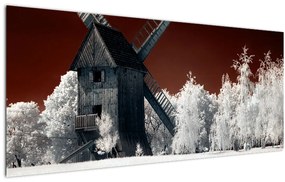Tablou cu moară (120x50 cm)