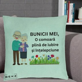 Cadou pentru Bunici - Perna Personalizata Bunicii Mei Comoara Cuplu Senior cu Flori Colorat, 40x40 cm, Verde Menta, Husa Detasabila, Perna Inclusa, BEKZ®