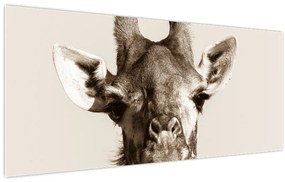 Tablou - Portret de girafă, de epocă (120x50 cm)