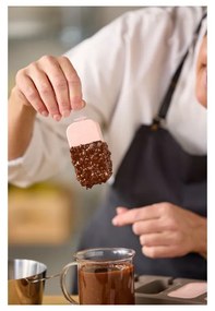 Formă pentru înghețată din silicon – Blomsterbergs