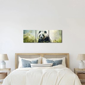 Tablou - Panda (cu ceas) (90x30 cm)