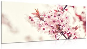 Tablou flori de cireșe roz