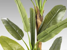 Planta artificiala decorativa BANANA TREE, Platanera H180